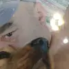 Алик. - @albertvainil - TikTok
