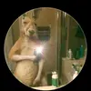 Albert Velasquez - @albertvelasquez932 - TikTok