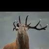 Albert Valera591 - @albertvalera591 - TikTok