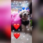 Albert Valera - @albertvalera19 - Instagram