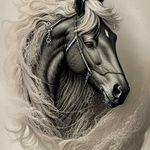 Albert Valles Aschieri - @albertvallesaschieri - Instagram