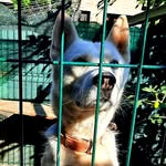 Alberto Vasile - @alberto.vasile.7927 - Instagram
