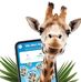 Albert Heijn Dronten West - Facebook