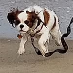 Albert West - @thepooterphiles - Instagram