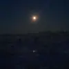 williamalbert881 - @williamalbert881 - TikTok