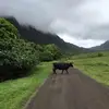 Albert Yoon - @albert.yoon - TikTok