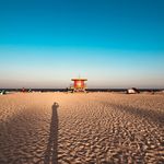 Albert Zimmermann - @albert.zimmermann - Instagram