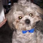 Alberta Austin - @albertaaustin4 - Instagram