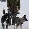 Robert Alberta Carpenter - @robert.alberta.ca - TikTok