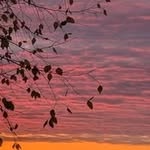 Alberta Cook - @albertaicook - Instagram
