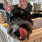 Alberta Cox - @bertie_je_taime - Instagram