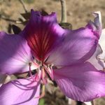 Alberta Cruz - @alberta.cruz.925 - Instagram