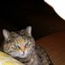 Alberta Dooley - Facebook