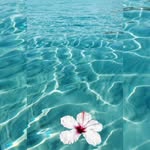 Alberta Doran - @southsidedoran - Instagram