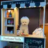 albertadorsey32314 - @albertadorsey32314 - TikTok
