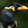 Albert Dunsing - @albert.dunsing - TikTok