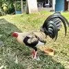 Albert Allam - @albert.allam5 - TikTok