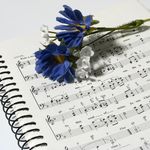 Alberta Erickson - @albertaerickson489 - Instagram
