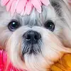 Alberta Estrada - @alberta.estrada01 - TikTok