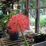 Alberta Fields - @alberta2474 - Instagram