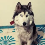 Alberta Flores - @alberta.flores.3939 - Instagram