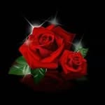 Alberta Flores - @alberta.flores.777363 - Instagram