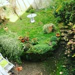 alberta Florès - @xoneje7853 - Instagram