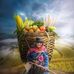 Alberta Fonseca - Facebook