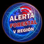 Alerta Forestal - @alerta_forestal_oficial - Instagram