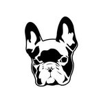 Alberta frencies 🐾 - @alberta_frenchies - Instagram