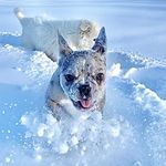 Garry & Betty - @albertafrenchtons - Instagram