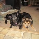 Alberta Hanko - @albertahanko - Instagram