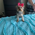 Alberta Nichols - Facebook