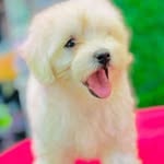 Alberta Rich Love - @asirifieugene - Instagram
