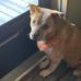 Alberta Slone - Facebook