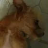 Albertina Suzanne Richards - @albertinasuzanner - TikTok