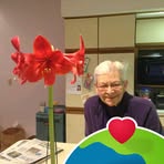 Albertine Kramer - Facebook