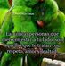 Alberto Alva - Facebook