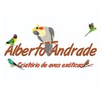 Alberto Andrade - @albertoandradecalopsitas - Instagram