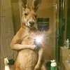 Angel Alberto - @angel.alberto454 - TikTok