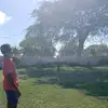 Alberto Aragones - @alberto.aragones8 - TikTok