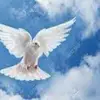 Alberto Arancibia - @alberto.arancibia16 - TikTok