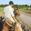 alberto aranda - @alberto.aranda50 - TikTok