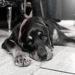 Alberto Avilés - @alberto.aviles.p - Instagram