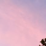 Alberto Báez - @albertobaezi - Instagram