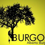 Alberto Burgos Rodríguez - @albertoburgosrodriguez - Instagram