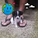 Alberto Camargo - Facebook