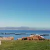Alberto Cantu - @alberto.cantu79 - TikTok