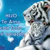 Alberto Chamul - @albertochamul - TikTok