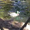 albertocubero64 - @albertocubero64 - TikTok